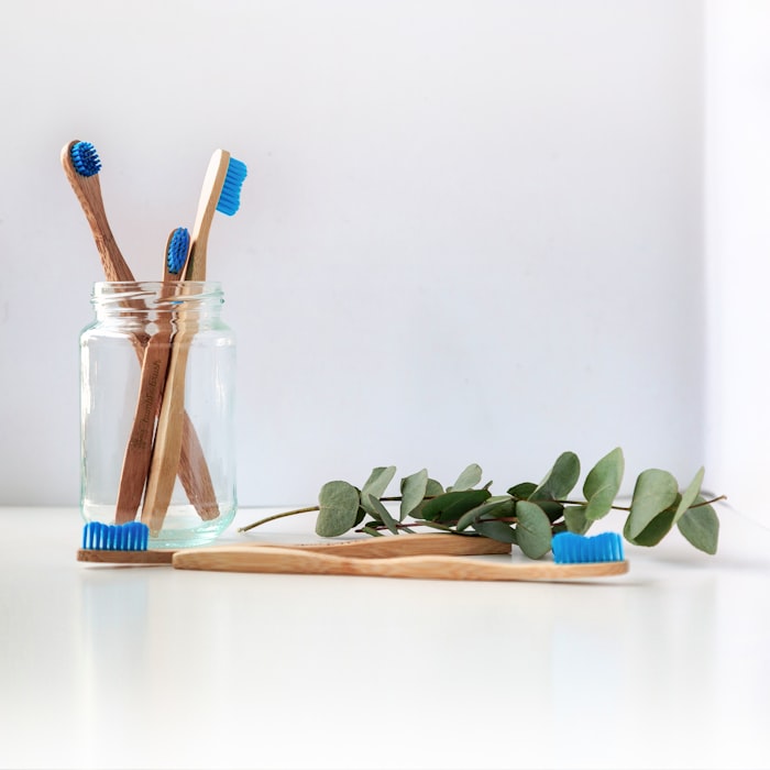 Bamboo Toothbrush Set – 4 Pack