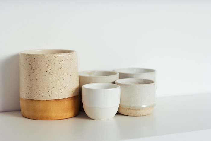 Palm Leaf Compostable Bowls – 12 Pack